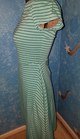 The Limited Dress - Picture 4 of 6